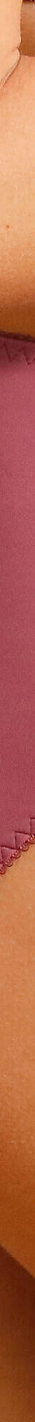 Culotte haute en dentelle et microfibre Orellana - lot de 2  (prune) Culotte haute en dentelle et microfibre Orellana - lot de 2  (prune)